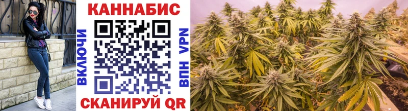 Купить закладки  Советск  Бошки марихуана индика 